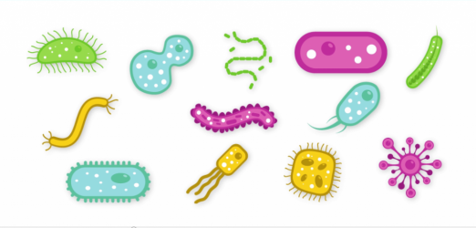 Infecciones de transmisión sexual